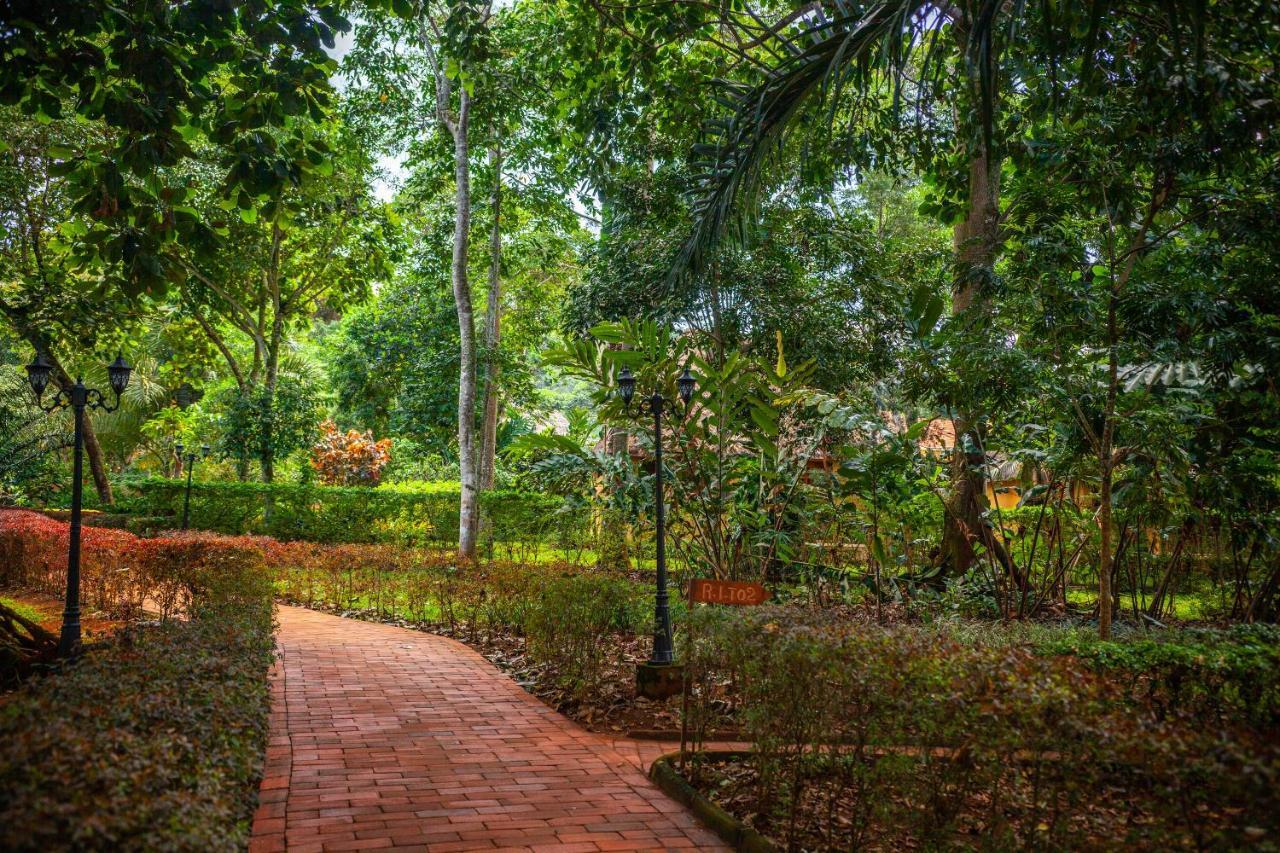 Brovad Sands Lodge Kalangala Dış mekan fotoğraf